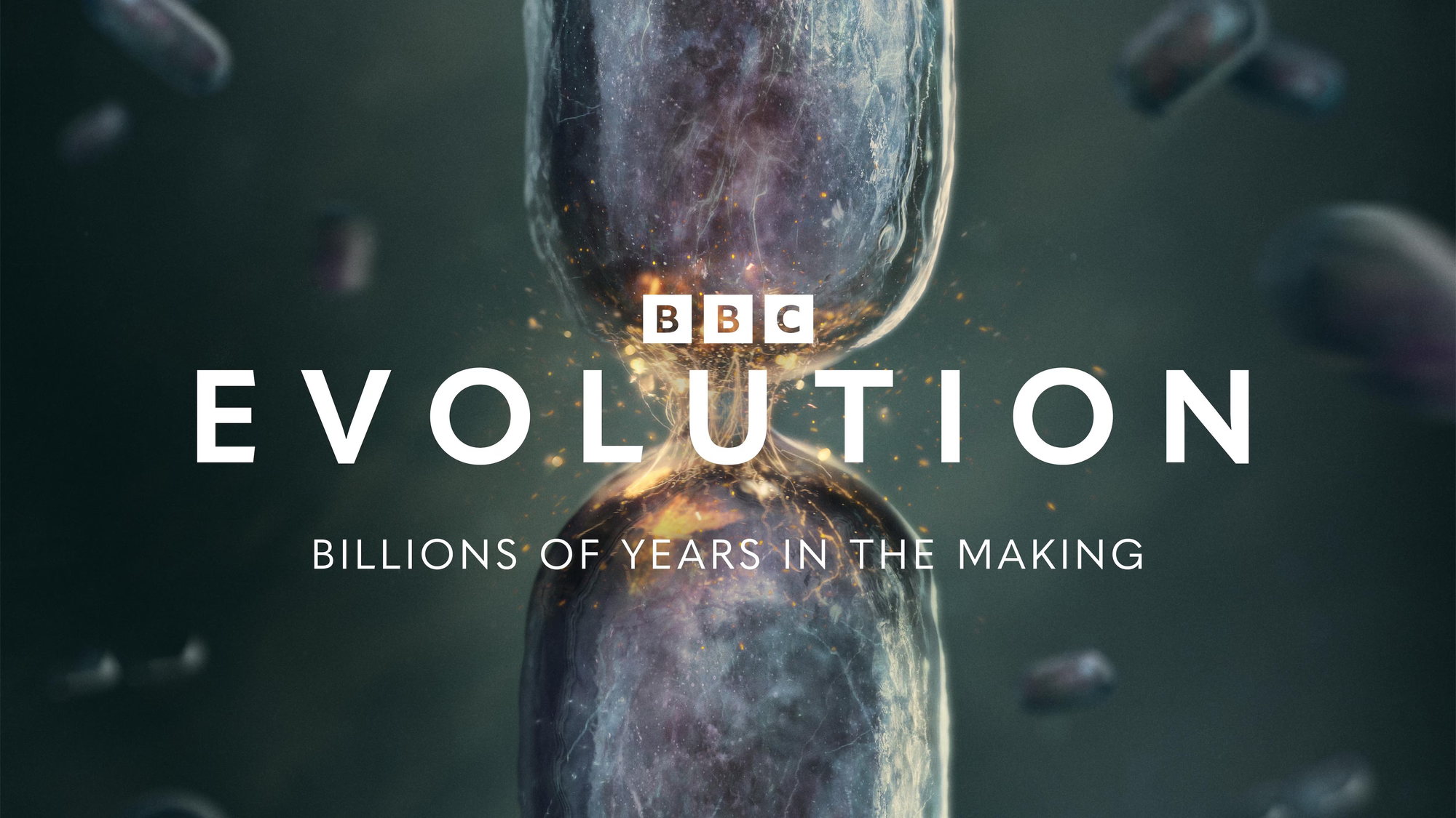 Evolution — BBC Studios