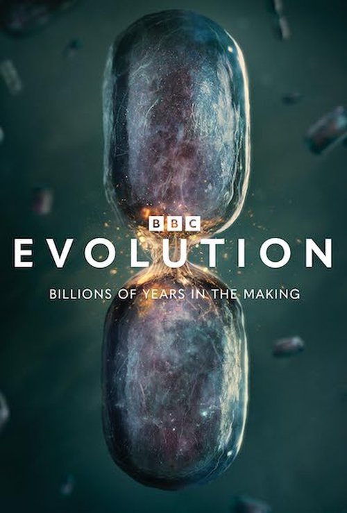 Evolution